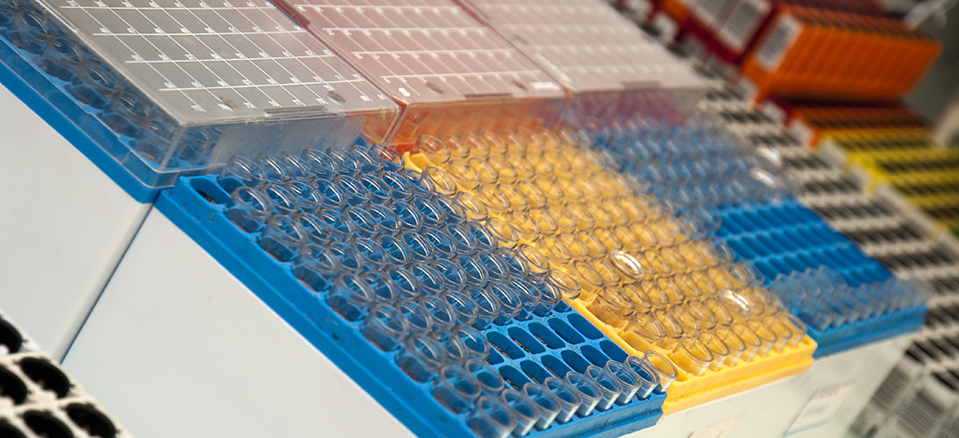 Biosaga : Laboratoires d'analyses médicales du Val d’Oise ... Biosaga : Laboratoires d'analyses médicales du Val d’Oise ...